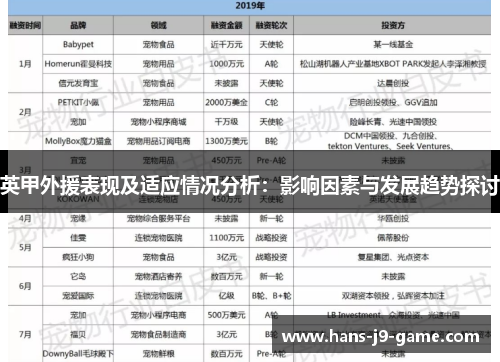 英甲外援表现及适应情况分析：影响因素与发展趋势探讨