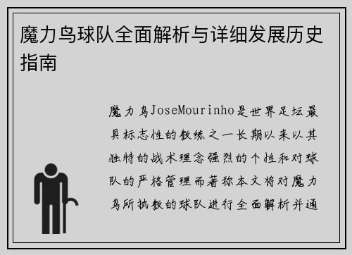魔力鸟球队全面解析与详细发展历史指南